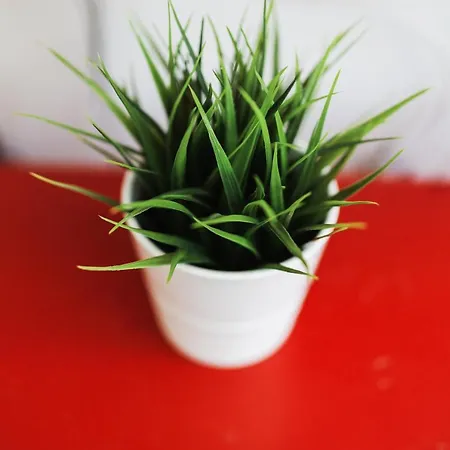 Apartament Center Belgrad