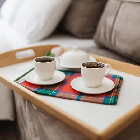 Center Apartment Belgrade